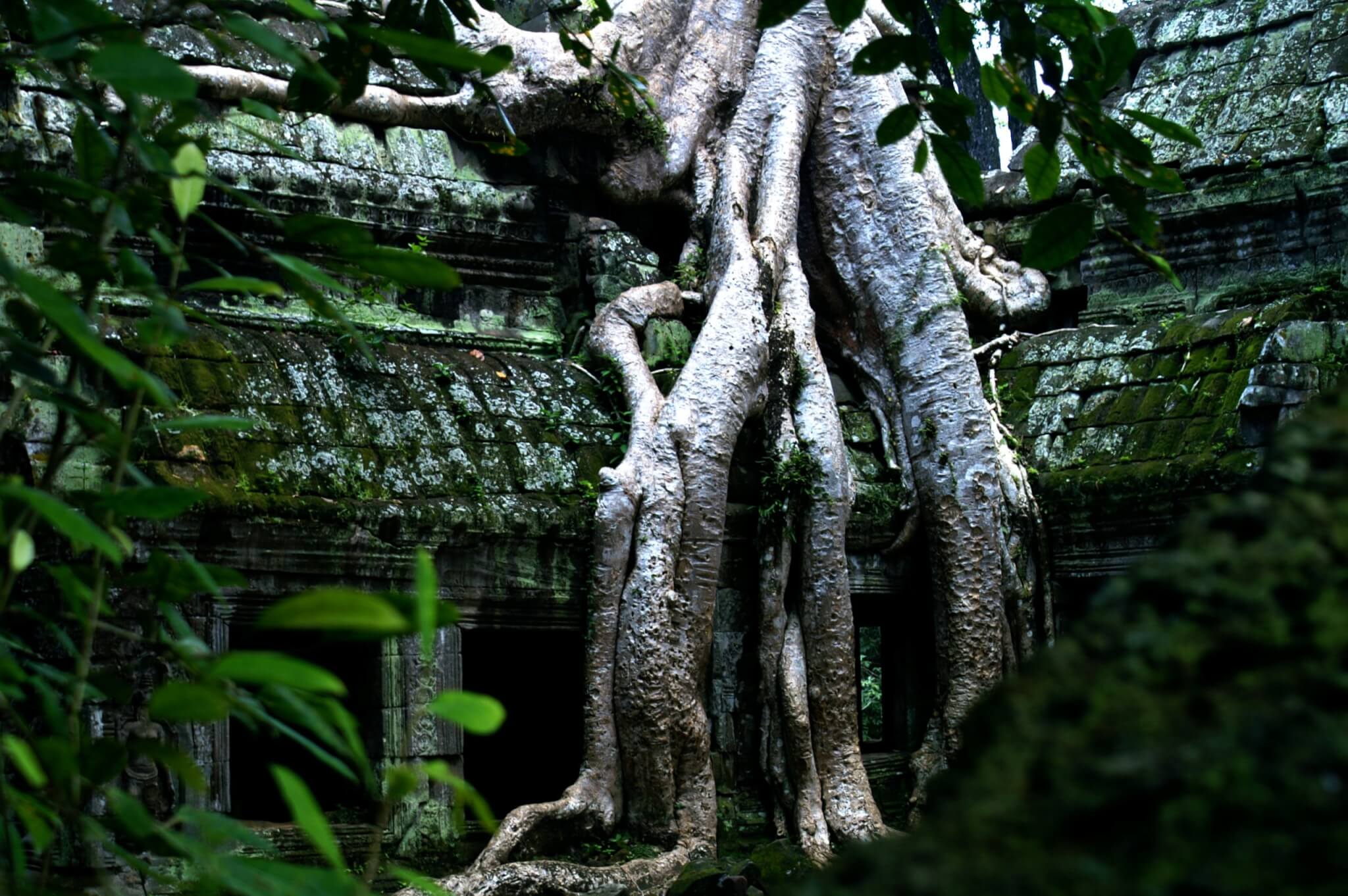 Karat Roots What is the Root Chakra and Why is it Important? - Yoga with Rona